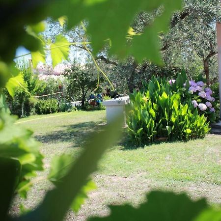 Villa Di Campagna Vicino Al Mare Orosei Ngoại thất bức ảnh