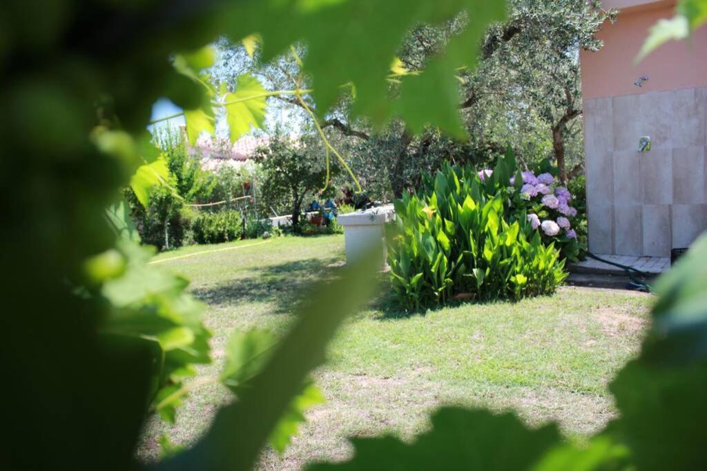 Villa Di Campagna Vicino Al Mare Orosei Ngoại thất bức ảnh