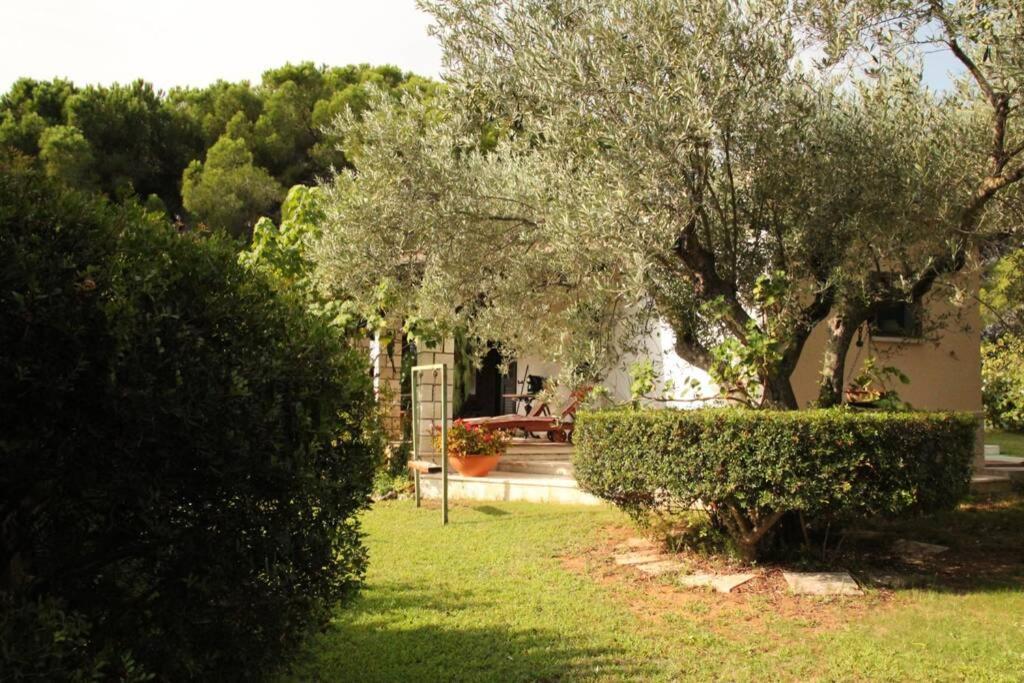 Villa Di Campagna Vicino Al Mare Orosei Ngoại thất bức ảnh